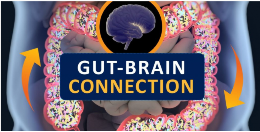 YOUR GUT IS CAUSING NEURODEGENERATIVE DISORDERS !